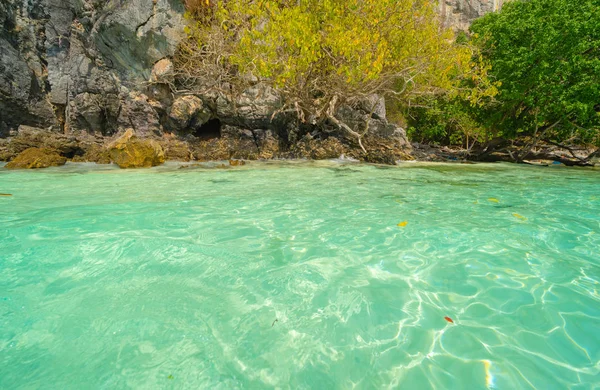 Phi Phi, playa Maya con agua de mar azul turquesa, isla Phuket —  Fotos de Stock