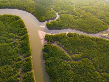 Samet Nangshe ve tropikal yeşil orman ağaçlarının havadan görünüşü.