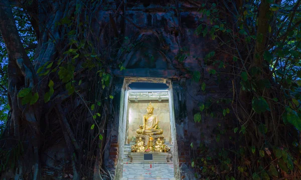 Goldene Buddha Statue Mit Alter Backsteinmauer Und Alten Baumwurzeln Durch — Stockfoto