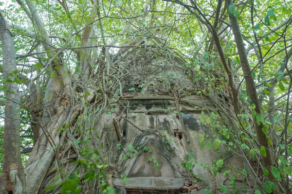Oude Bakstenen Muur Oude Boomwortels Door Het Raam Wat Bang — Stockfoto
