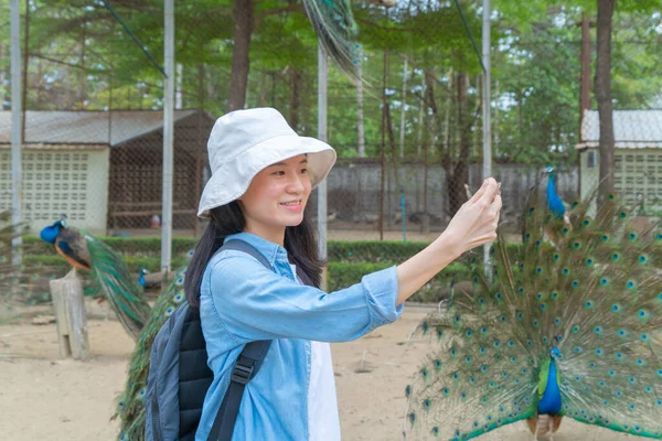 快乐的亚洲女人 一位游客 通过手机旅行 拍照或自拍 在动物园里长有羽毛的孔雀鸟社交媒体上发布 大自然中的野生动物 狩猎区的人 — 图库照片