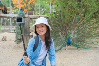 Mutlu Asyalı kadın, bir turist, seyahat ediyor ve cep telefonuyla fotoğraf çekiyor ya da selfie çekiyor ve hayvanat bahçesi parkındaki tüylü Peacock Bird 'de sosyal medyaya paylaşıyor. Vahşi bir hayvan. Safaride insanlar.