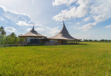 Chata Thammachart, Sam Phran 'da bir kahve dükkanı, Nakhon Pathom Eyaleti, Tayland. Asya 'nın kırsal ya da kırsal bölgelerindeki yeşil tarımsal alanlarda Asya çeltik pilavı. Doğa manzarası arka planı.
