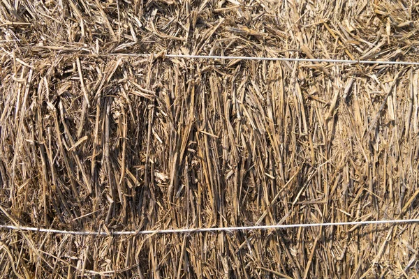 Hooiberg Natuurlijk Droog Hooi Stro Graanveld Boerderij Patroon Textuur Achtergrond — Stockfoto