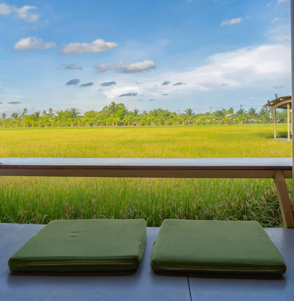 空のカフェのテラスレストランで木製の椅子 自然景観とインテリアデザイン 風景背景 — ストック写真