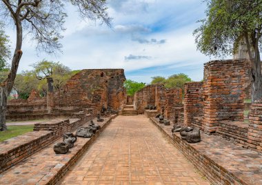 Tayland, Bangkok yakınlarındaki Phra Nakhon Si Ayutthaya ilindeki eski bir tapınağın kalıntıları. Eski tapınaktaki eski bir Buda heykeli. Ünlü turistik mekan. Tayland mimarisinin tarihi.