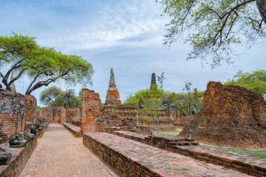 Tayland, Bangkok yakınlarındaki Phra Nakhon Si Ayutthaya ilindeki eski bir tapınağın kalıntıları. Eski tapınaktaki eski bir Buda heykeli. Ünlü turistik mekan. Tayland mimarisinin tarihi.
