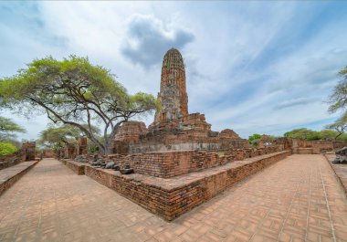 Tayland, Bangkok yakınlarındaki Phra Nakhon Si Ayutthaya ilindeki eski bir tapınağın kalıntıları. Eski tapınaktaki eski bir Buda heykeli. Ünlü turistik mekan. Tayland mimarisinin tarihi.