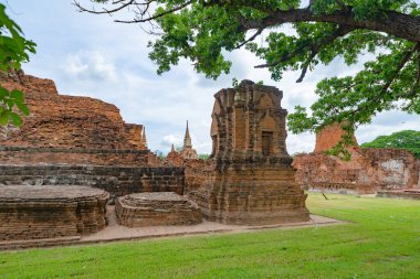Tayland, Bangkok yakınlarındaki Phra Nakhon Si Ayutthaya ilindeki eski bir tapınağın kalıntıları. Eski tapınaktaki eski bir Buda heykeli. Ünlü turistik mekan. Tayland mimarisinin tarihi.