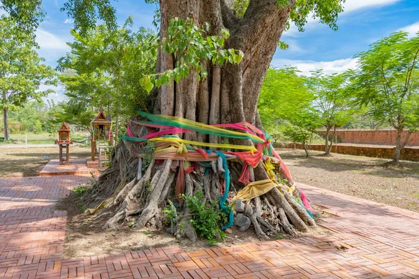 Tecido Colorido Fita Amarrada Uma Árvore Representa Esta Árvore Fortuna — Fotografia de Stock