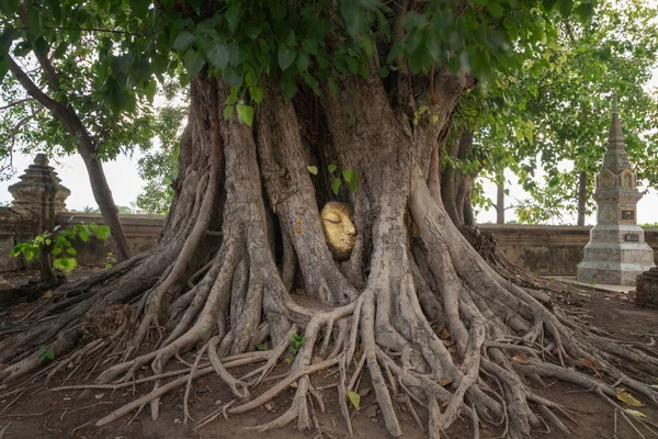 석가모니는 방콕시아유 지방의 Wat Mahait Wat Maha 사원에 뿌리에서 머리와 — 스톡 사진