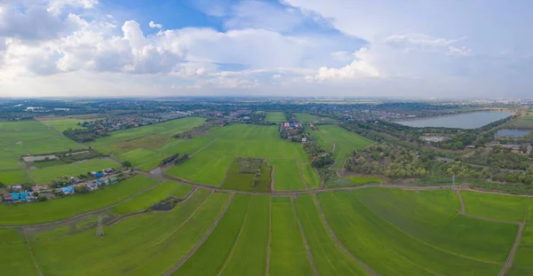 Aerial Top View Του Φρέσκου Ρυζιού Paddy Πράσινα Αγροκτήματα Στην — Φωτογραφία Αρχείου