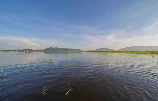 Bang Pra Stuwdam Nationaal Park Met Reflectie Van Rivier Meer — Stockfoto