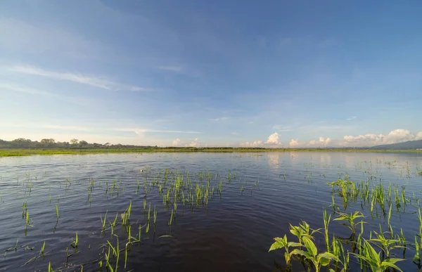 Bang Pra Barajı Nehir Gölü Yansımalı Ulusal Park Öğle Vakti — Stok fotoğraf