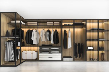 3D render en az İskandinav yürümek dolap ahşap dolap ile
