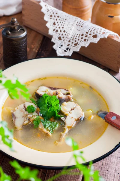 Herring Soup Fresh Herbs Selective Focus — Stock Photo, Image