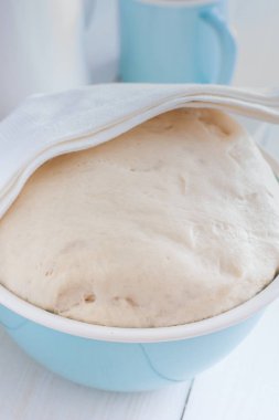 Seçici odak mavi bir kapta taze çiğ Hamur Mayaları