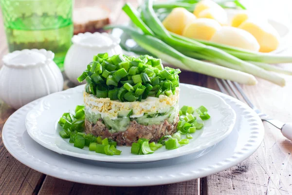 Салат с консервированной рыбой и зеленым луком на белой тарелке, горизонтальный — стоковое фото