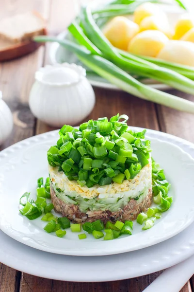 Салат с консервированной рыбой и зеленым луком на белой тарелке, избирательный фокус — стоковое фото