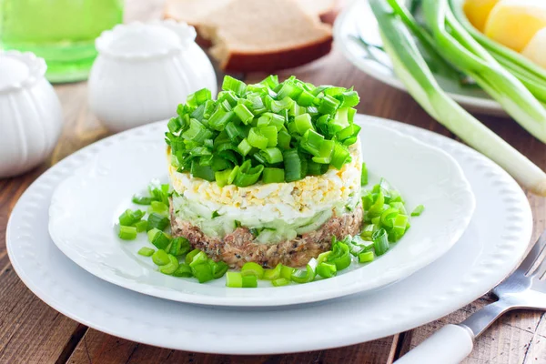 沙拉与罐装鱼和绿色洋葱在一个白色的盘子, 水平 — 图库照片