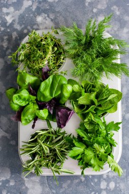 Çeşitli baharatlı taze otlar: fesleğen, kekik, dereotu, maydanoz, metalik formda biberiye, üst görünümü, seçici odak