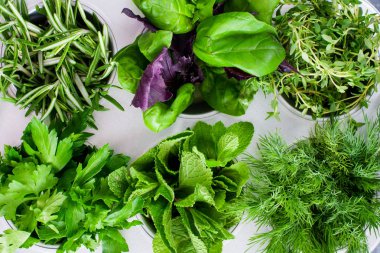 Çeşitli baharatlı taze otlar: fesleğen, kekik, dereotu, maydanoz, metalik formda biberiye, üst görünüm, yatay