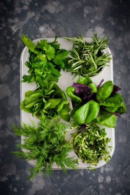 Çeşitli baharatlı taze otlar: fesleğen, kekik, dereotu, maydanoz, metalik formda biberiye, üst görünümü, seçici odak