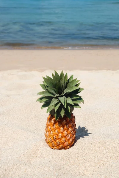 Zomer Tropische Landschap Met Ananas Het Witte Zand Strand Achtergrond — Stockfoto