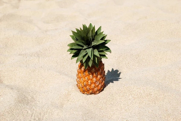 Ananas Sulla Spiaggia Sabbia Bianca Una Giornata Sole Con Spazio — Foto Stock