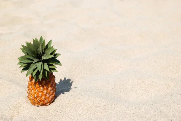 Maturare Ananas Dolce Sulla Spiaggia Sabbia Bianca Una Giornata Sole — Foto Stock