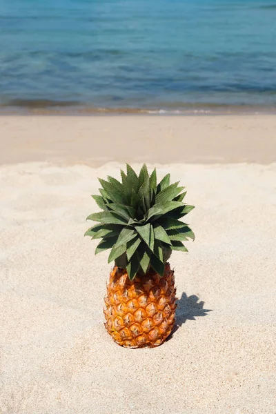 Paysage Tropical Estival Avec Ananas Sur Plage Sable Blanc Sur — Photo