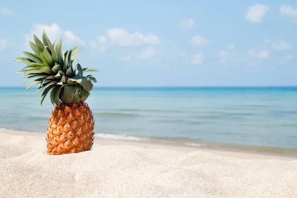 Ananas Spiaggia Sabbia Mare Bianco Frutta Vacanza Vacanza Tropicale Spazio — Foto Stock