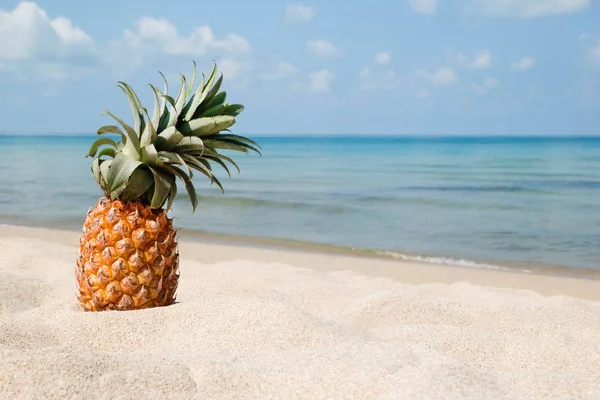 Estate Paesaggio Tropicale Con Ananas Sulla Spiaggia Sabbia Bianca Sullo — Foto Stock