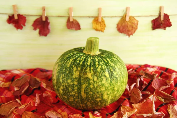 Hösten Stilleben Med Grön Pumpa Med Torra Löv Rutig Handduk — Stockfoto