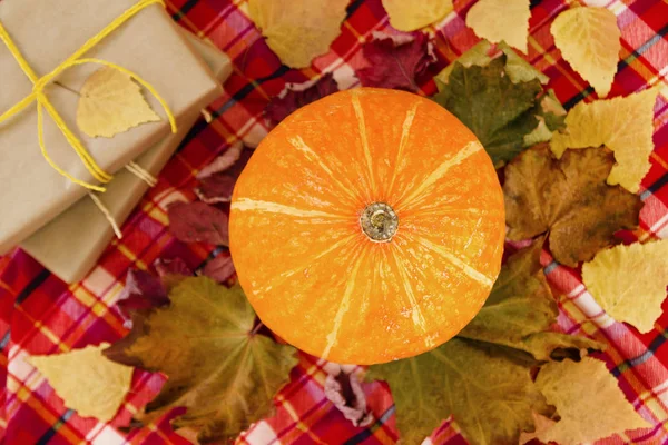 カラフルな落ち葉とカボチャ ペーパー クラフトと赤い市松模様のタオルの平面図上の黄色いリボンで包まれるギフト ボックス 秋の静物 — ストック写真