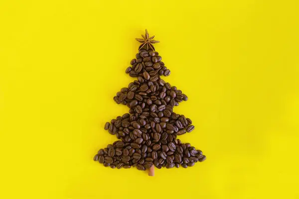 Winter Composition Christmas Tree Made Coffee Beans Decorated Anise Star — Stock Photo, Image