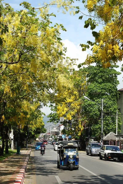 チェンマイ 2018 黄色の花 バイクと伝統的なタイの交通機関と大きな木と道路上の景色 トゥクク — ストック写真