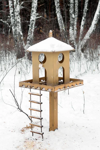 Aves Madera Con Comida Bosque Nevado Invierno — Foto de Stock