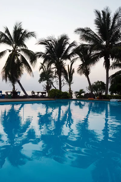 Piscina Vacía Con Cocoteros Sobre Fondo Mar Atardecer Fotos de stock libres de derechos