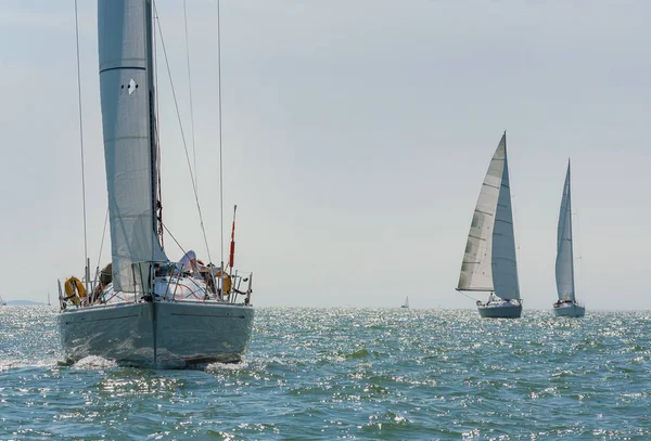 Three Beautiful White Yachts Sailboats Sail Boats Sailing Sea Calm — Stock Photo, Image