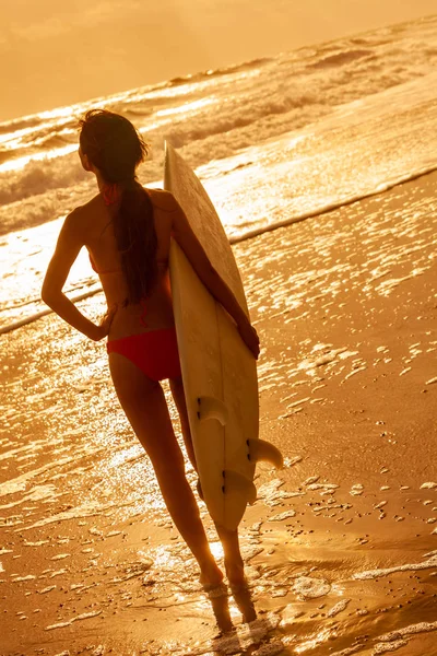 白いサーフボードとピンクのビキニでセクシーな若い美人サーファー ガールの浜辺で夕日や日の出のリアビュー — ストック写真