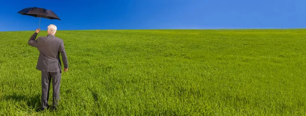 网页横幅全景商业概念照片 一名商人站在一片绿地下 在明亮的蓝天和伞下 — 图库照片