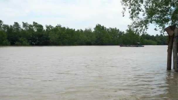 Hagyományos Vietnami Csónak Vitorlás Mekong Folyón Mekong Delta Vietnam — Stock videók