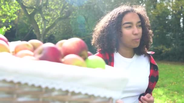 日当たりの良い果樹園の摘みリンゴのバスケットにリンゴを食べる白人のアフリカ系アメリカ人の混血十代の女の子若い女性 — ストック動画