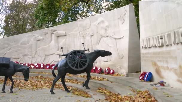 Zwierzęta War Memorial Hyde Park Park Lane Londyn Listopada 2017 — Wideo stockowe