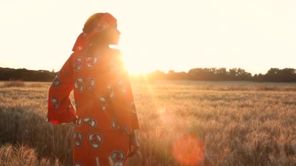 Video Clip Donna Africana Abiti Tradizionali Piedi Campo Colture Tramonto — Video Stock