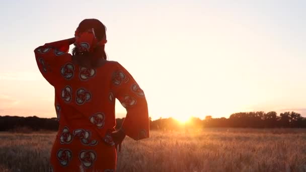 Vídeo Clipe Mulher Africana Roupas Tradicionais Campo Culturas Pôr Sol — Vídeo de Stock