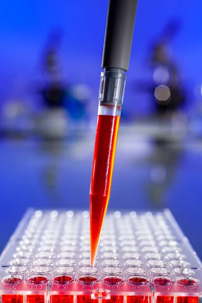 Blood Test In Medical Research Lab — Stock Photo, Image