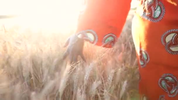 Mulher Africana Roupas Tradicionais Andando Com Mão Sentindo Campo Culturas — Vídeo de Stock