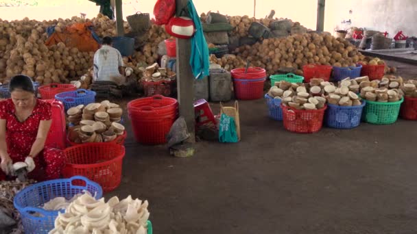 Trabajadores Locales Vietnamés Procesando Coconutos Factoria Mekong Delta Vietnam Abril — Vídeo de stock